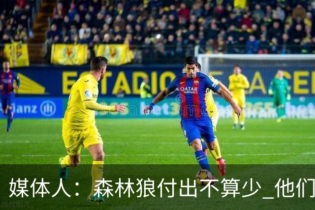 媒体人：森林狼付出不算少 他们确实需要变化 之前的阵容到上限了